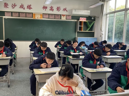 2ca134b1-ac90-410e-8d22-3fc79ffbd2f9.jpg